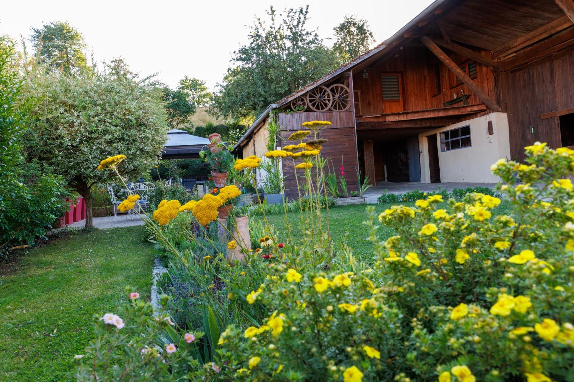 Chez Franz Alois Hébergement de vacances *